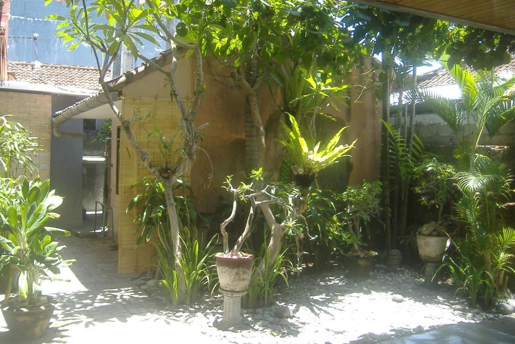 Mustika Inn Kuta Lombok Exteriér fotografie
